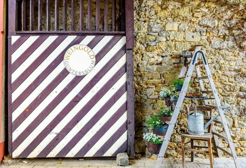 בית מלון כפרי Land Weingold Guntersblum