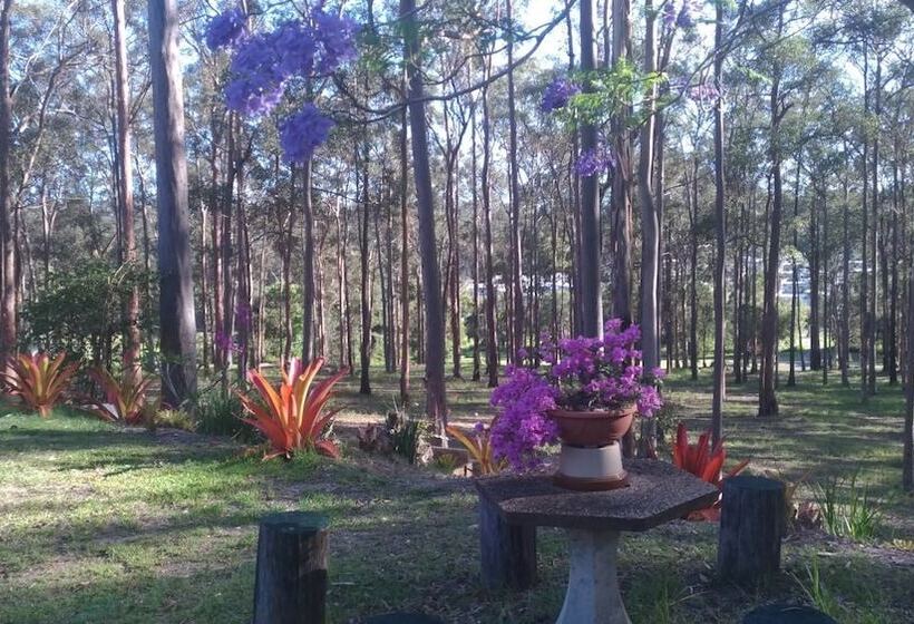 渡假胜地  Springwood Meditation Centre 春木禪修渡假中心