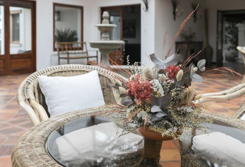 تختخواب و صبحانه Torrontes