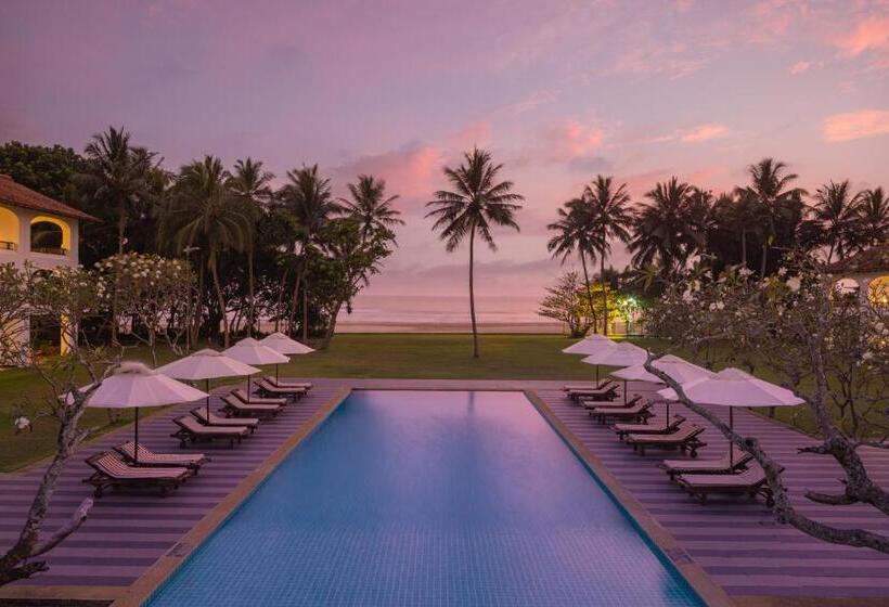 בית מלון כפרי Heritance Ayurveda   All Meals And Treatments