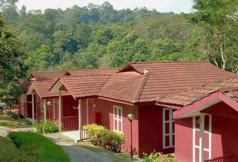 Serene Resort & Training Centre