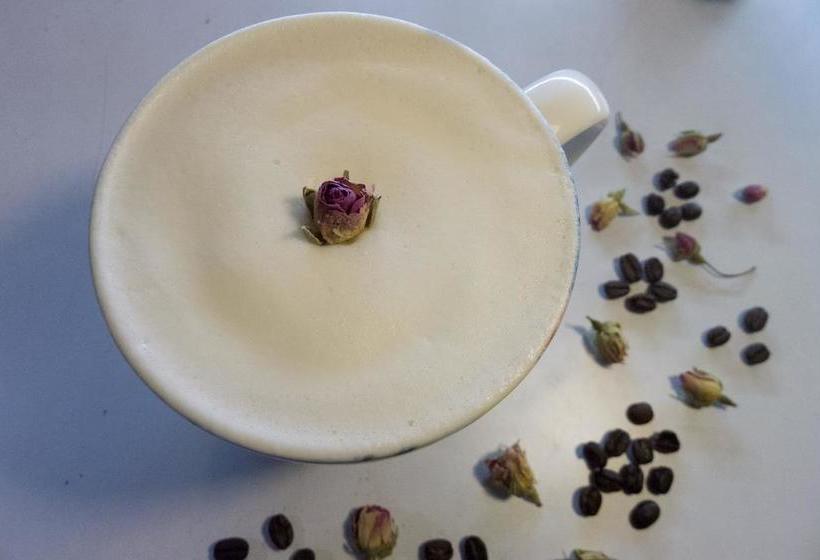 בית מלון כפרי Color Creative