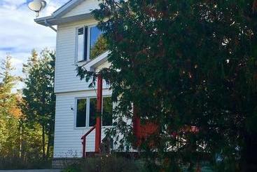 The Forest House B&b