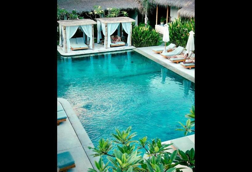 Rascals Hotel   Adults Only