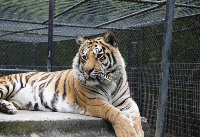 فندق Candlewood Suites Mcdonough, An Ihg