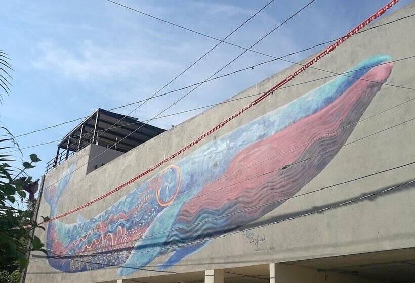 فندق Casa De La Ballena