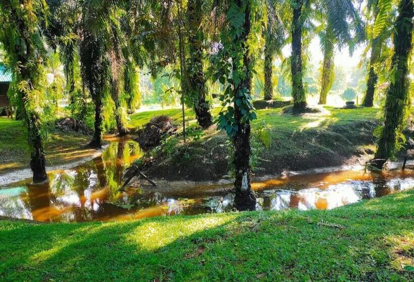 Sukau Backpackers B&b