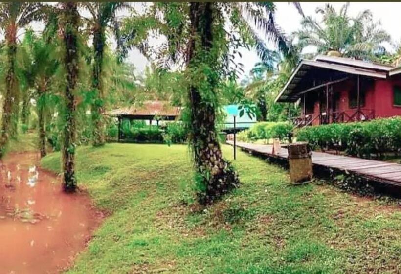 Sukau Backpackers B&b