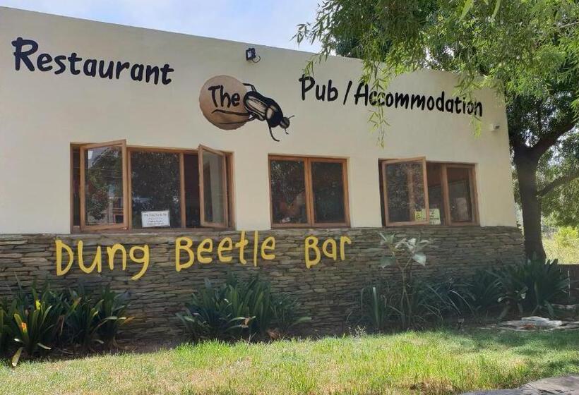 ユースホステル Barrydale Accommodation, Backpackers