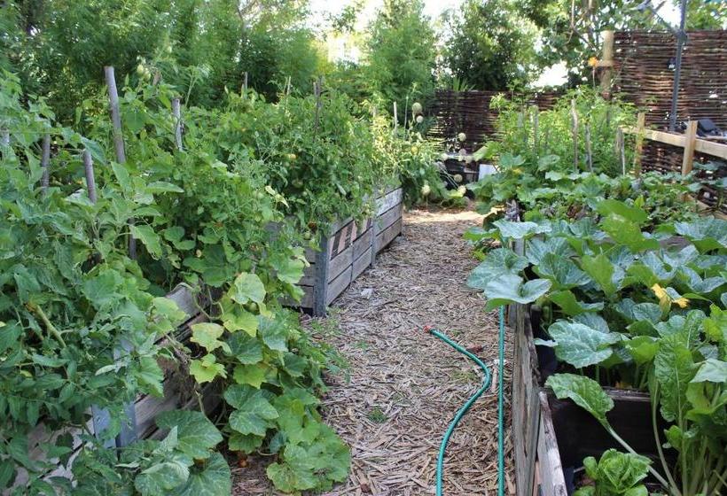 ベッドアンドブレックファースト Aquaelberg Place