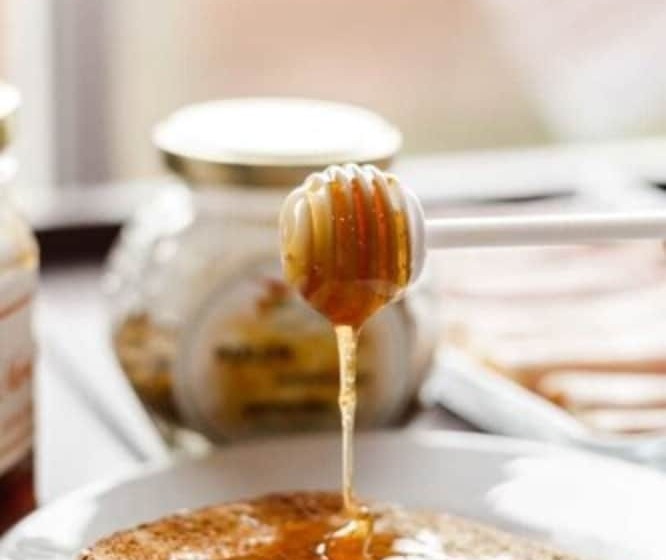 فندق Santa Teresita Boutique