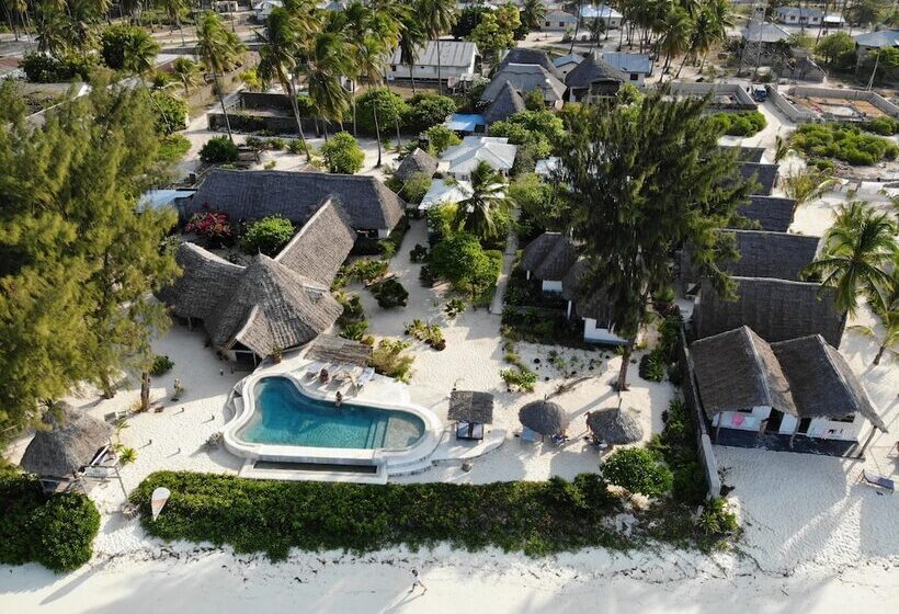 فندق Driftwood Beach Lodge