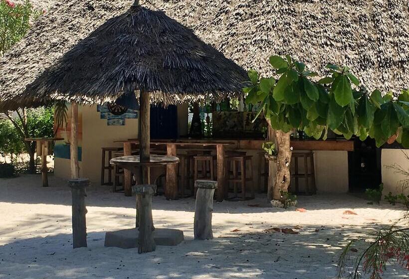 فندق Driftwood Beach Lodge