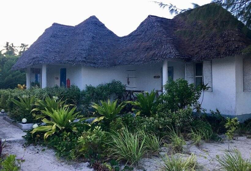 فندق Driftwood Beach Lodge