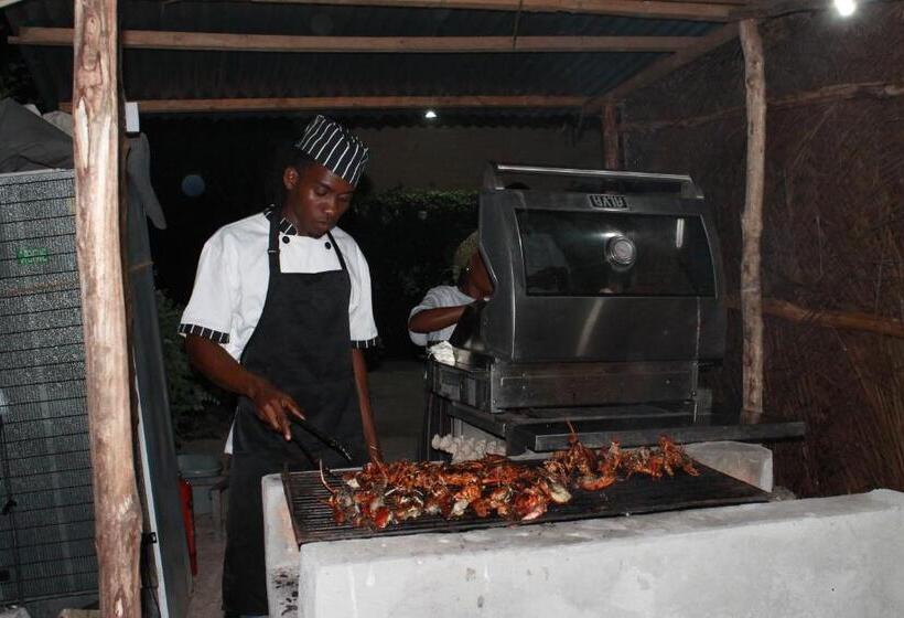 فندق Driftwood Beach Lodge