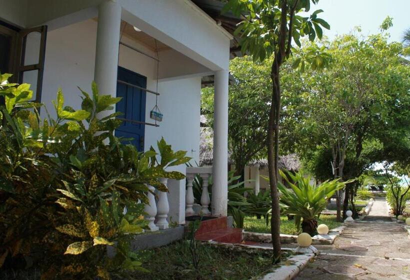 فندق Driftwood Beach Lodge