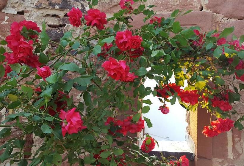 ホテル Seminar & Gästehaus Burghof Stauf