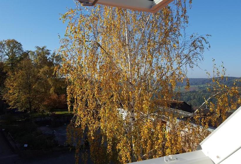 ホテル Seminar & Gästehaus Burghof Stauf