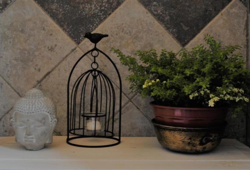 مبيت وإفطار Evergreen
