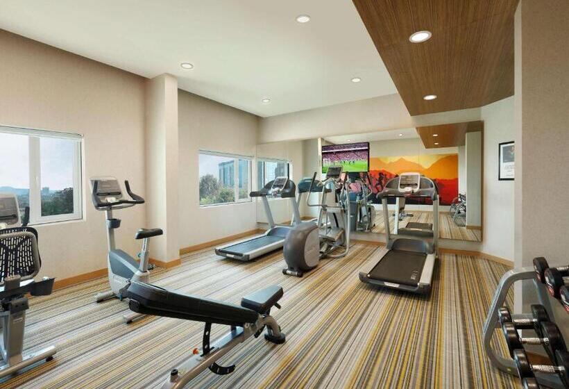 فندق Ibis Pune Hinjewadi   An Accor Brand