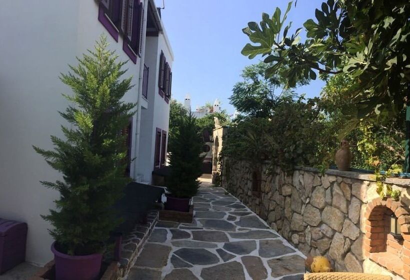 בית מלון כפרי Wish Suites Bodrum