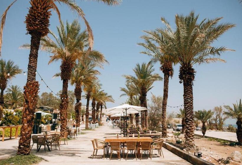 ユースホステル Ein Gedi Camp Lodge