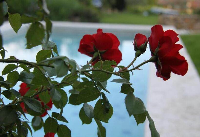 B&b Relais De Charme La Caminella