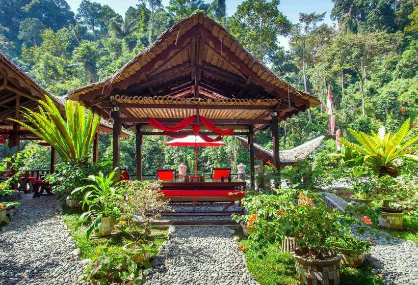 تختخواب و صبحانه Ecotravel Cottages Bukit Lawang