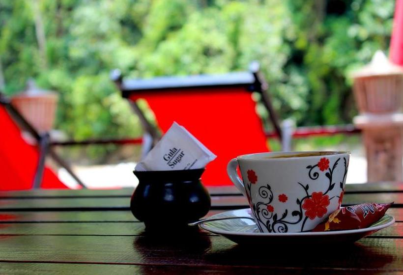 تختخواب و صبحانه Ecotravel Cottages Bukit Lawang