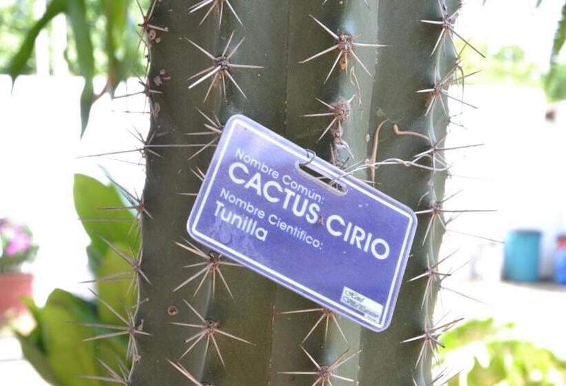 هتل Villa Paraiso