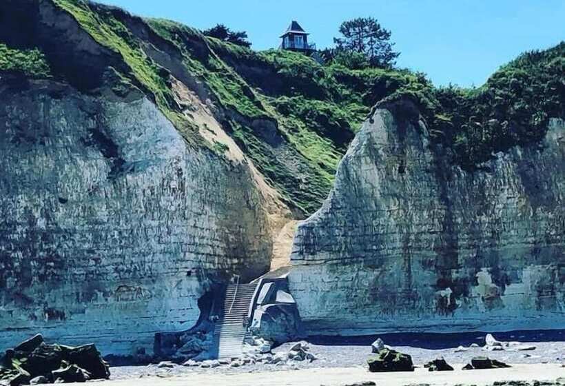 Отель Hôtel De La Terrasse