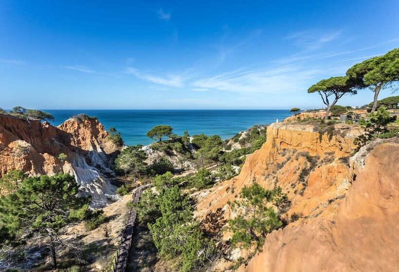 فندق Pine Cliffs Gardens