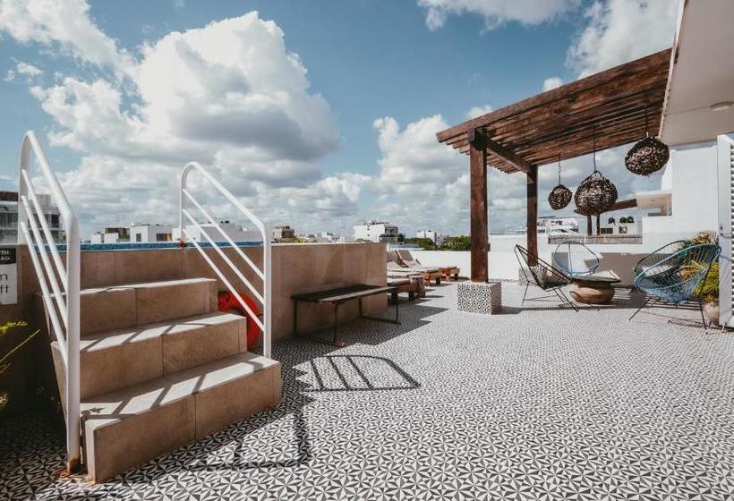 Fotos del hotel Kalma Casa Mora:  5