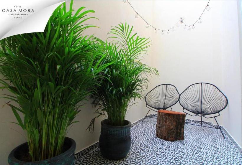 Fotos del hotel Kalma Casa Mora:  8