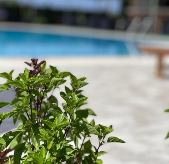 酒店 Stomio Villague