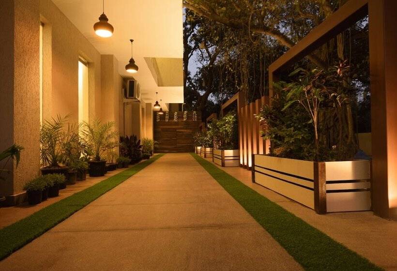 Bluo Amani Vagator   Boutique Hotel Goa