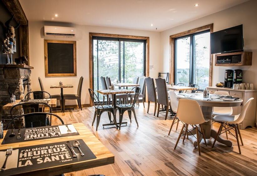 Отель Gite Du Haut Des Arbres