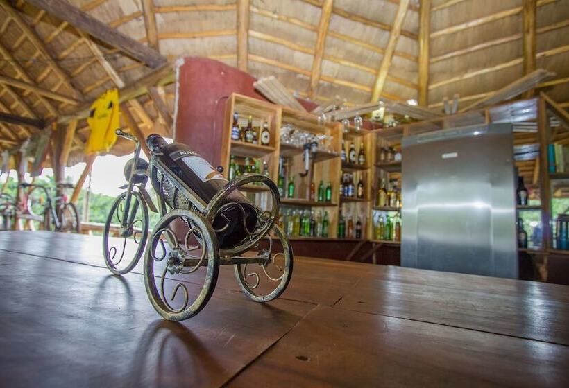 Hotel Roots Retreat And Camping Resort