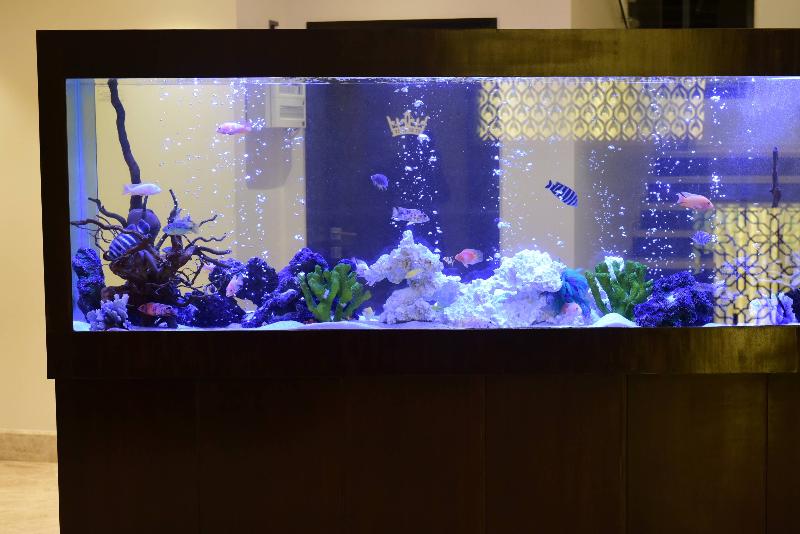 هتل The Flora Grand