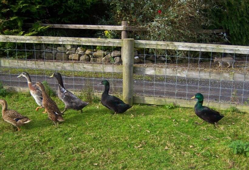 مبيت وإفطار Valley Lodge