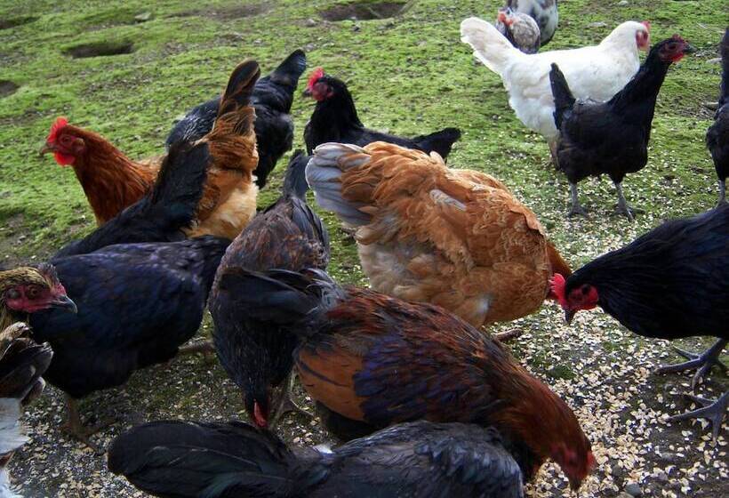 مبيت وإفطار Valley Lodge