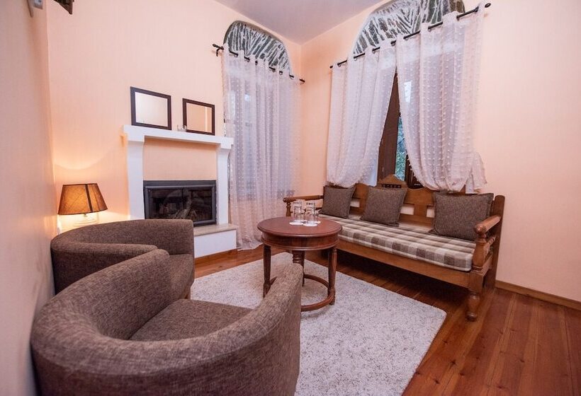 酒店 Archontiko Argyro