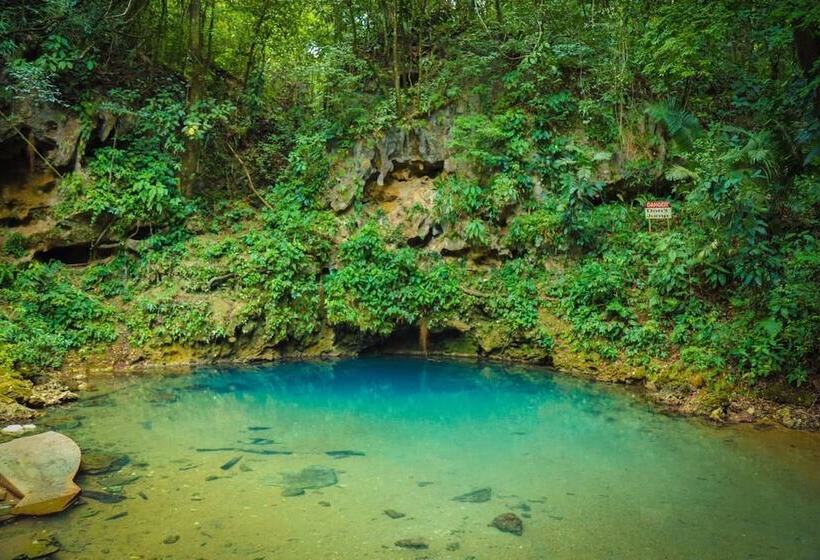 فندق Cassia Hill Resort