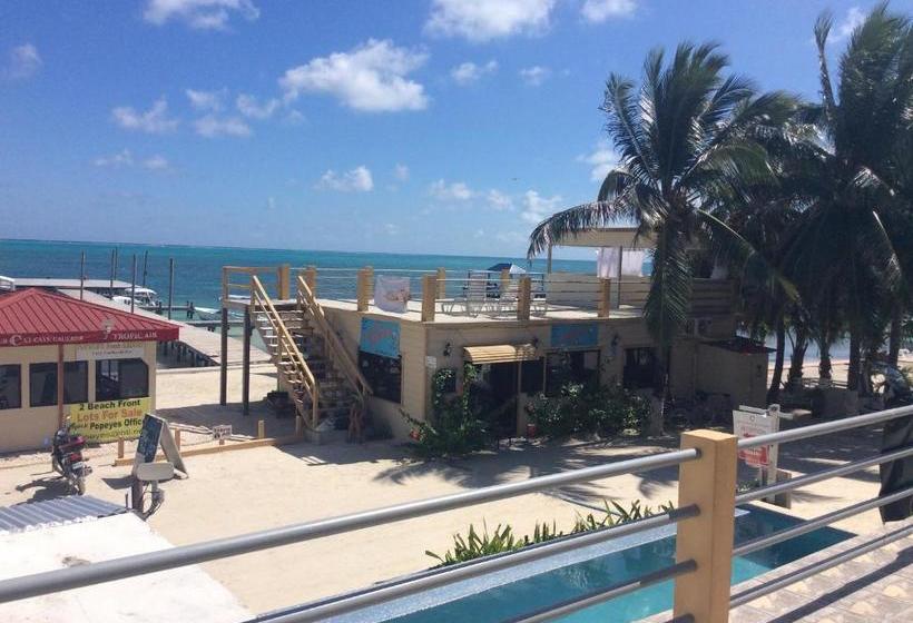 בית מלון כפרי The Beach Club Resort At Caye Caulker