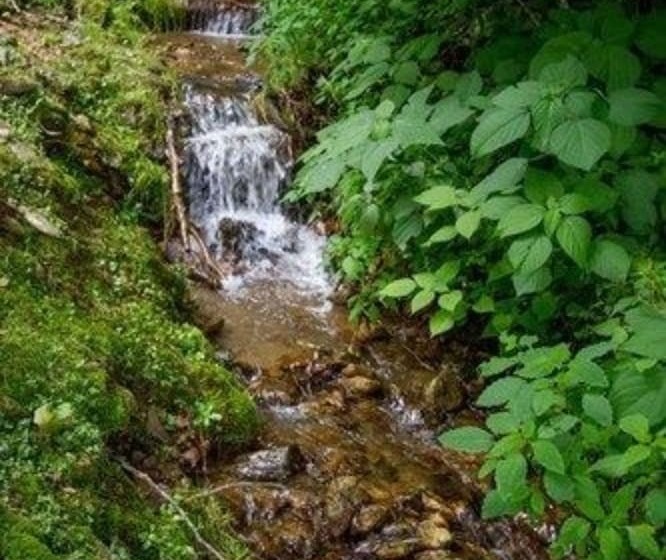 ホテル Bald Mountain House Inn At The Wolf Laurel Resort