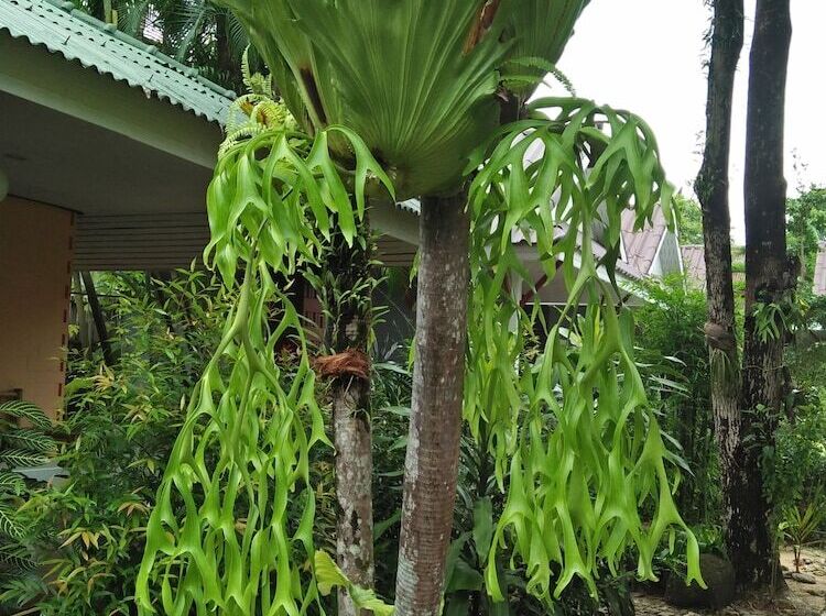 Hotel Khaolak Tusneem Resort