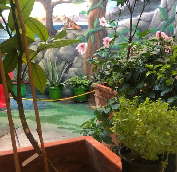 هتل Zouglas App Guesthouse