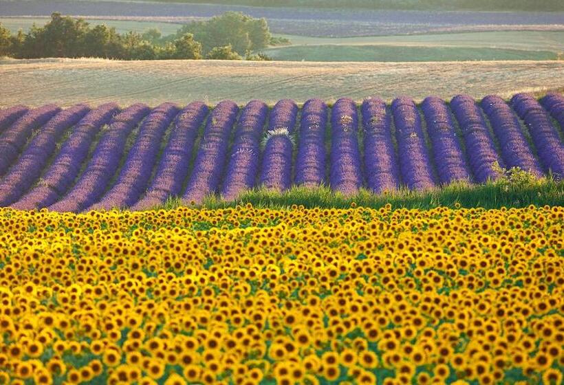 فندق Les Jardins De Baracane