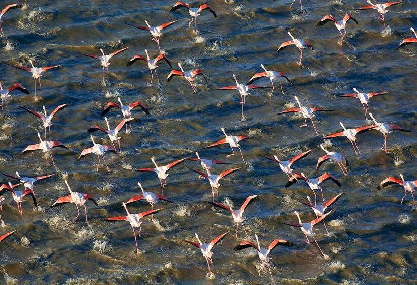 فندق Les Jardins De Baracane