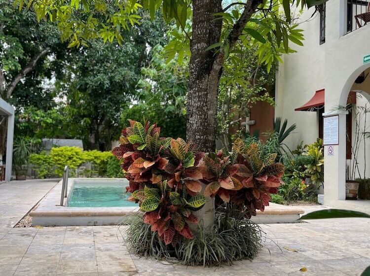 هتل Casa Valladolid Boutique